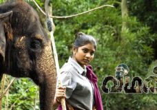 Veeman (2023) HD 720p Tamil Movie Watch Online